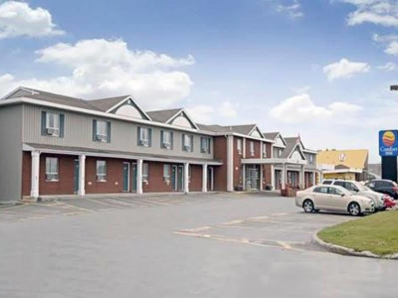 Comfort Inn - Gander Exterior foto